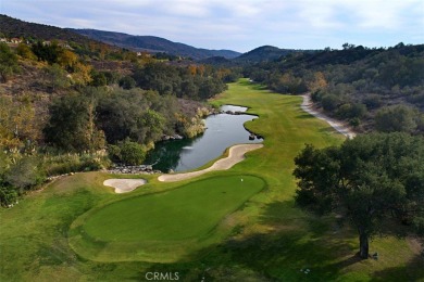 Stunning Pool Home with Golf Course  Mountain Views! This on Dove Canyon Country Club in California - for sale on GolfHomes.com, golf home, golf lot