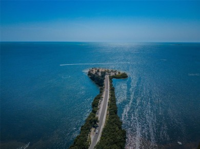 Under contract-accepting backup offers. Welcome to 1118 Captains on Tarpon Springs Golf Course in Florida - for sale on GolfHomes.com, golf home, golf lot