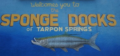 Under contract-accepting backup offers. Welcome to 1118 Captains on Tarpon Springs Golf Course in Florida - for sale on GolfHomes.com, golf home, golf lot