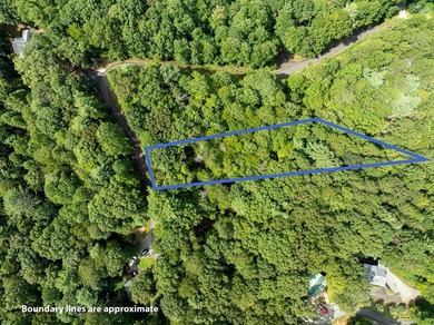 Build Your Dream Home in Buckhorn Estates! This beautiful 0 on White Path Golf Club in Georgia - for sale on GolfHomes.com, golf home, golf lot