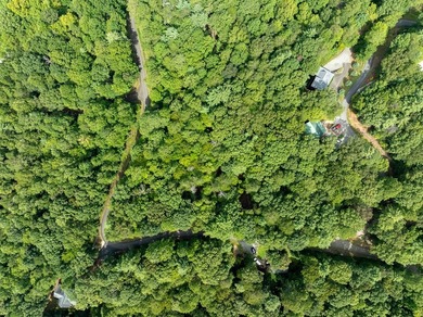 Build Your Dream Home in Buckhorn Estates! This beautiful 0 on White Path Golf Club in Georgia - for sale on GolfHomes.com, golf home, golf lot