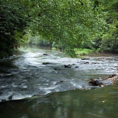 Build Your Dream Home in Buckhorn Estates! This beautiful 0 on White Path Golf Club in Georgia - for sale on GolfHomes.com, golf home, golf lot