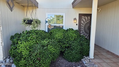 Welcome to your beautiful remodeled 3 Bed, 2 Bath home in the on Sun City-Willow Creek / Willow Brook  in Arizona - for sale on GolfHomes.com, golf home, golf lot