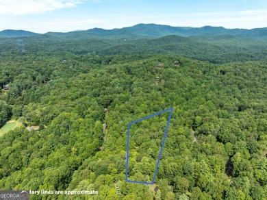 Tucked away on 0.97 acres in the desirable Buckhorn Estates on White Path Golf Club in Georgia - for sale on GolfHomes.com, golf home, golf lot