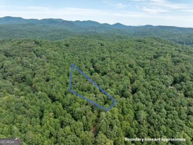 Tucked away on 0.97 acres in the desirable Buckhorn Estates on White Path Golf Club in Georgia - for sale on GolfHomes.com, golf home, golf lot