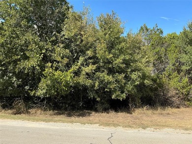 This is the one you are looking for...corner lot within easy on White Bluff Resort - New Course in Texas - for sale on GolfHomes.com, golf home, golf lot