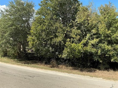 This is the one you are looking for...corner lot within easy on White Bluff Resort - New Course in Texas - for sale on GolfHomes.com, golf home, golf lot