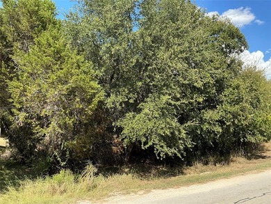 This is the one you are looking for...corner lot within easy on White Bluff Resort - New Course in Texas - for sale on GolfHomes.com, golf home, golf lot