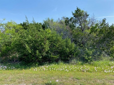 Space and serenity.  Build your custom home on 1.28 acres and on White Bluff Resort - New Course in Texas - for sale on GolfHomes.com, golf home, golf lot