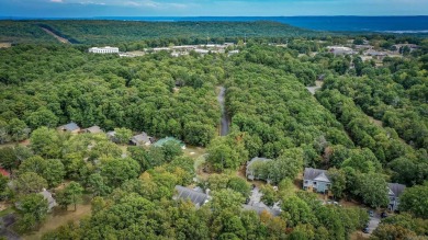 This stunning, updated studio is tucked away among the trees on on Mountain Ranch Golf Club in Arkansas - for sale on GolfHomes.com, golf home, golf lot