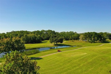 Discover maintenance-free living in this charming 2-bedroom on Harmony Golf Preserve in Florida - for sale on GolfHomes.com, golf home, golf lot