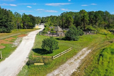 Discover maintenance-free living in this charming 2-bedroom on Harmony Golf Preserve in Florida - for sale on GolfHomes.com, golf home, golf lot