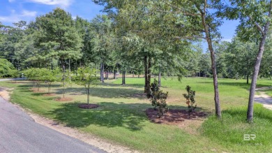 TO BE BUILT. Stunning new construction by Ryan Creel on Steelwood Country Club in Alabama - for sale on GolfHomes.com, golf home, golf lot