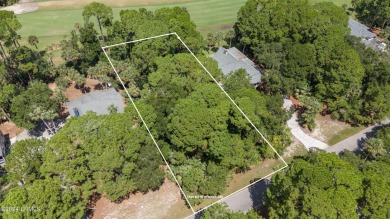 Located on the 4th fairway of Ocean Point golf course, this on Ocean Point Golf Links in South Carolina - for sale on GolfHomes.com, golf home, golf lot