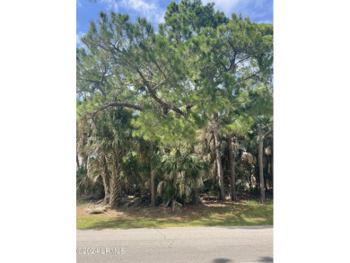 Located on the 4th fairway of Ocean Point golf course, this on Ocean Point Golf Links in South Carolina - for sale on GolfHomes.com, golf home, golf lot