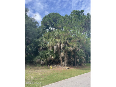 Located on the 4th fairway of Ocean Point golf course, this on Ocean Point Golf Links in South Carolina - for sale on GolfHomes.com, golf home, golf lot