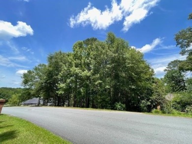 Idyllic is the key word. Build the life you want in a setting on The Golf Club At Summerbrooke in Florida - for sale on GolfHomes.com, golf home, golf lot