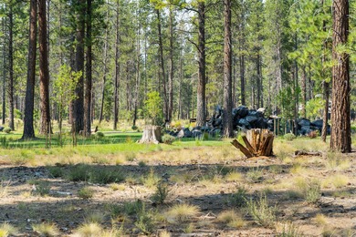 Overlooking the tranquil setting of Preservation Park, this on Sunriver Caldera Springs Golf Course in Oregon - for sale on GolfHomes.com, golf home, golf lot