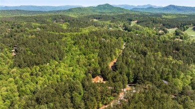 Welcome to 100 Northington Court, an exceptional new on The Reserve At Lake Keowee in South Carolina - for sale on GolfHomes.com, golf home, golf lot