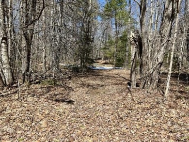 Welcome to your woodland retreat! With 2.80 acres, this corner on Diadema Golf Course  in Maine - for sale on GolfHomes.com, golf home, golf lot