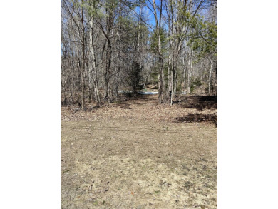 Welcome to your woodland retreat! With 2.80 acres, this corner on Diadema Golf Course  in Maine - for sale on GolfHomes.com, golf home, golf lot