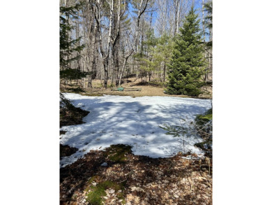 Welcome to your woodland retreat! With 2.80 acres, this corner on Diadema Golf Course  in Maine - for sale on GolfHomes.com, golf home, golf lot