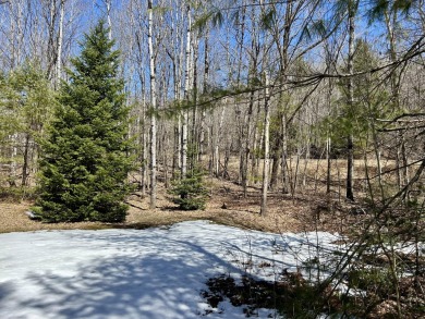 Welcome to your woodland retreat! With 2.80 acres, this corner on Diadema Golf Course  in Maine - for sale on GolfHomes.com, golf home, golf lot