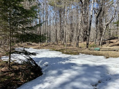 Welcome to your woodland retreat! With 2.80 acres, this corner on Diadema Golf Course  in Maine - for sale on GolfHomes.com, golf home, golf lot