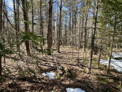 Welcome to your woodland retreat! With 2.80 acres, this corner on Diadema Golf Course  in Maine - for sale on GolfHomes.com, golf home, golf lot
