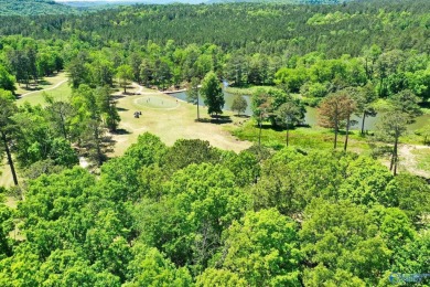 Immaculate 2966 sq ft home built in 2021. Golf Course living in on Cherokee Ridge Country Club in Alabama - for sale on GolfHomes.com, golf home, golf lot