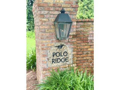 Build Your Dream Home on the last lot of its kind west of Route on Lakewood Golf Club in Alabama - for sale on GolfHomes.com, golf home, golf lot