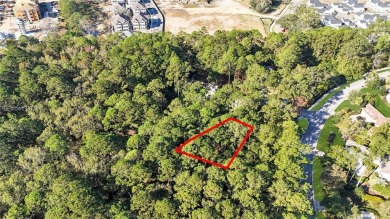 Build your dream home on this stunning lot in Berkeley Hall Club on Berkeley Hall Golf Club in South Carolina - for sale on GolfHomes.com, golf home, golf lot