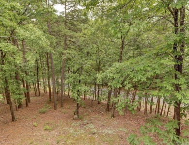 Welcome to this beautifully updated 3-bedroom, 2-bath home on Diamondhead Golf and Country Club in Arkansas - for sale on GolfHomes.com, golf home, golf lot