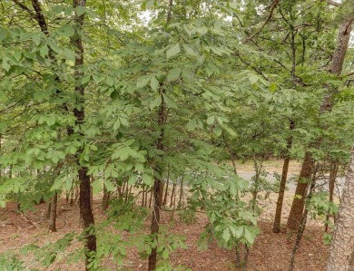 Welcome to this beautifully updated 3-bedroom, 2-bath home on Diamondhead Golf and Country Club in Arkansas - for sale on GolfHomes.com, golf home, golf lot