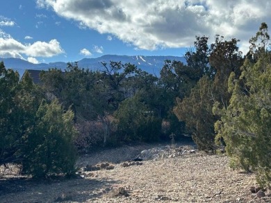 Offering a fabulous elevated one-acre lot on a high quiet on Paa-Ko Ridge Golf Club  in New Mexico - for sale on GolfHomes.com, golf home, golf lot
