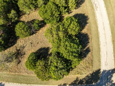 Beautiful wooded building lot near the open water of Lake on White Bluff Resort - Old Course in Texas - for sale on GolfHomes.com, golf home, golf lot