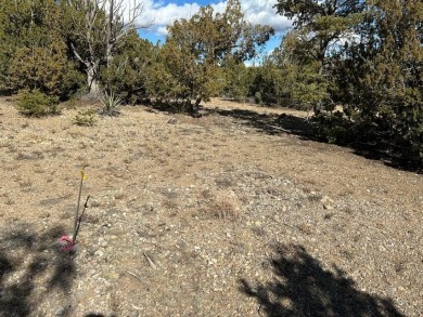 Offering a fabulous elevated one-acre lot on a high quiet on Paa-Ko Ridge Golf Club  in New Mexico - for sale on GolfHomes.com, golf home, golf lot
