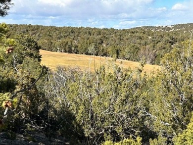 Offering a fabulous elevated one-acre lot on a high quiet on Paa-Ko Ridge Golf Club  in New Mexico - for sale on GolfHomes.com, golf home, golf lot