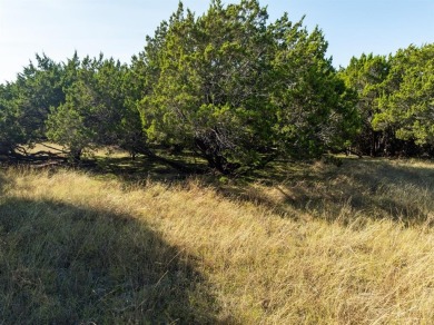 Beautiful wooded building lot near the open water of Lake on White Bluff Resort - Old Course in Texas - for sale on GolfHomes.com, golf home, golf lot