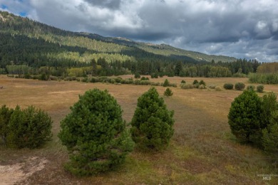 Beautiful 2+ acre site to build your custom vacation home on Osprey Meadows at Tamarack Resort in Idaho - for sale on GolfHomes.com, golf home, golf lot