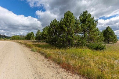 Beautiful 2+ acre site to build your custom vacation home on Osprey Meadows at Tamarack Resort in Idaho - for sale on GolfHomes.com, golf home, golf lot