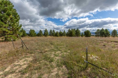 Beautiful 2+ acre site to build your custom vacation home on Osprey Meadows at Tamarack Resort in Idaho - for sale on GolfHomes.com, golf home, golf lot