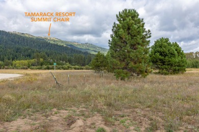 Beautiful 2+ acre site to build your custom vacation home on Osprey Meadows at Tamarack Resort in Idaho - for sale on GolfHomes.com, golf home, golf lot