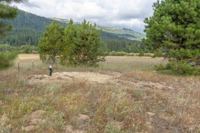 Beautiful 2+ acre site to build your custom vacation home on Osprey Meadows at Tamarack Resort in Idaho - for sale on GolfHomes.com, golf home, golf lot