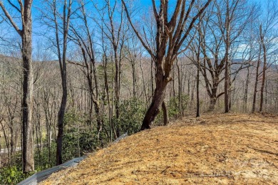 Come build in the Cove, start construction immediately! You have on Linville Falls Golf Club in North Carolina - for sale on GolfHomes.com, golf home, golf lot