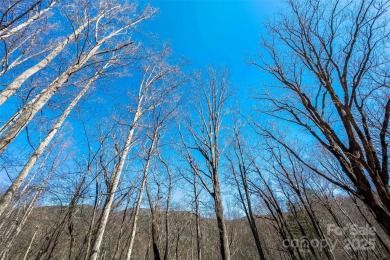 Come build in the Cove, start construction immediately! You have on Linville Falls Golf Club in North Carolina - for sale on GolfHomes.com, golf home, golf lot