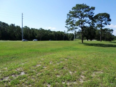 This unique opportunity allows for the purchase of a property on Rainbow Springs Golf and Country Club in Florida - for sale on GolfHomes.com, golf home, golf lot