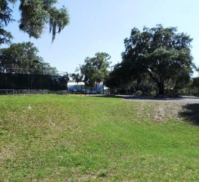 This unique opportunity allows for the purchase of a property on Rainbow Springs Golf and Country Club in Florida - for sale on GolfHomes.com, golf home, golf lot