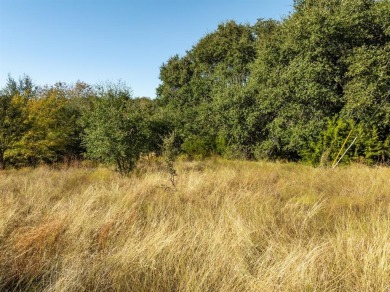 Almost half acre Golf Course Lot on the 15th green of the Old on White Bluff Resort - Old Course in Texas - for sale on GolfHomes.com, golf home, golf lot