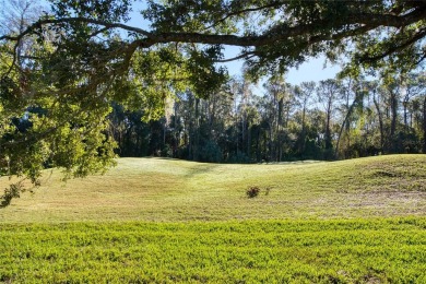 GOLF COURSE FRONTAGE reduced  65k for remodel incentive very on Tampa Palms Golf and Country Club in Florida - for sale on GolfHomes.com, golf home, golf lot